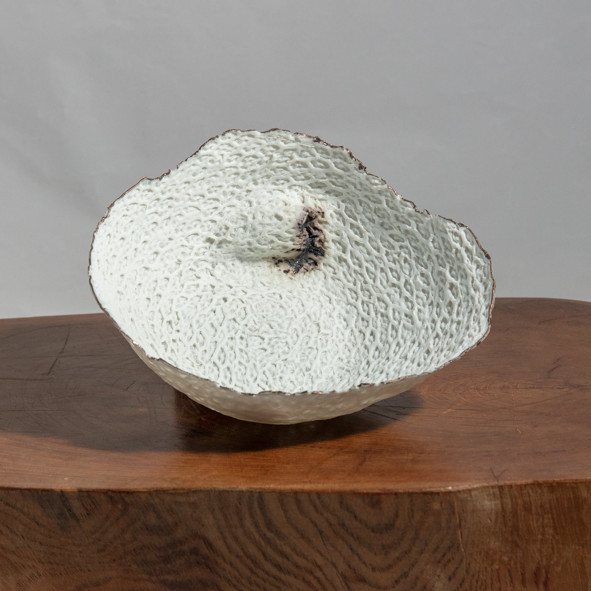 Jill Young Porcelain - AK