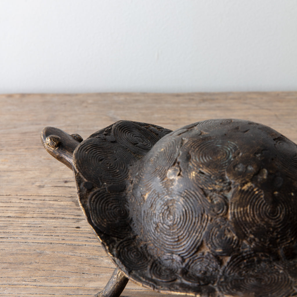 Goldweight Brass Turtle