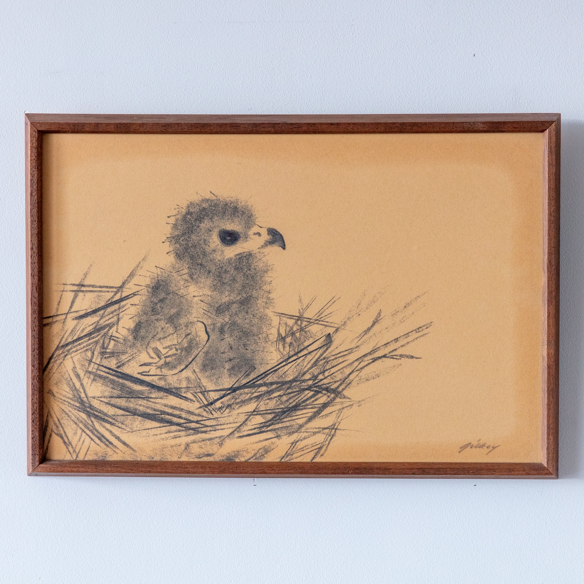 Richard Charles Gilkey, Nestling Eaglet, c. 1950's