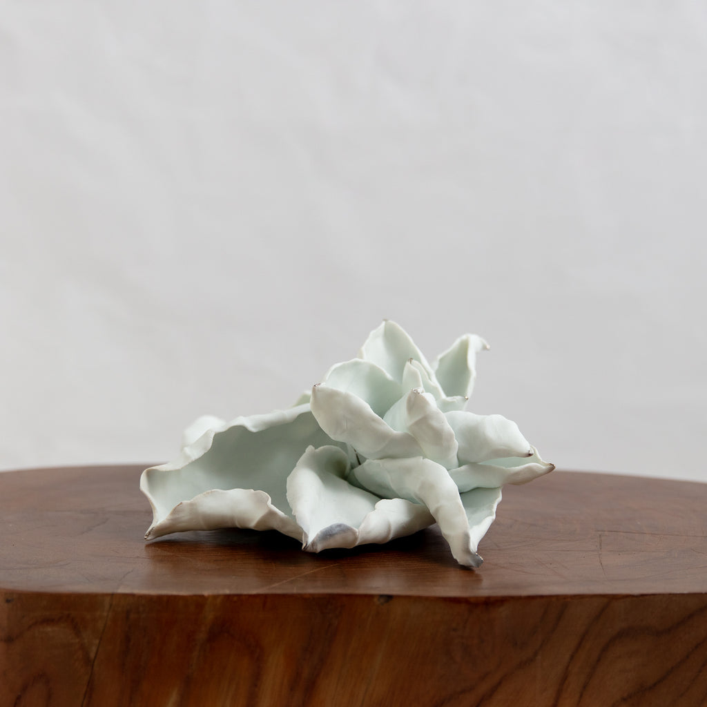Jill Young Porcelain - AE