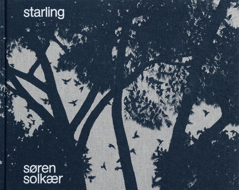 Soren Sokaer: Starling