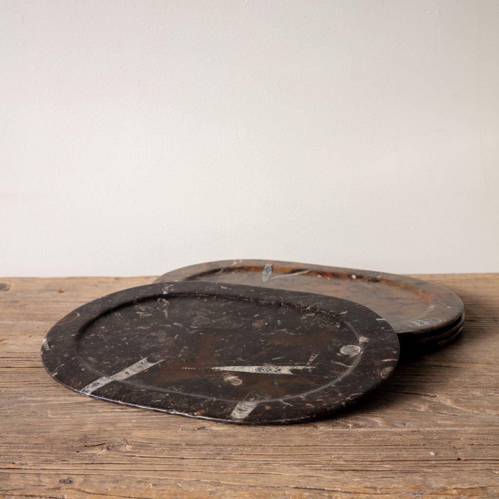 Fossil Platter - Medium