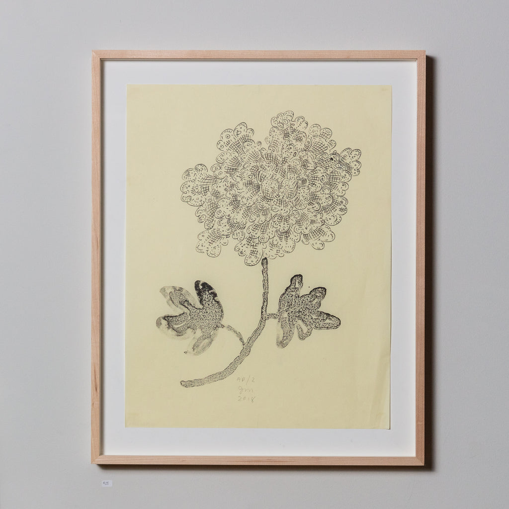 Jeffry Mitchell, Flower Drawing (#28)